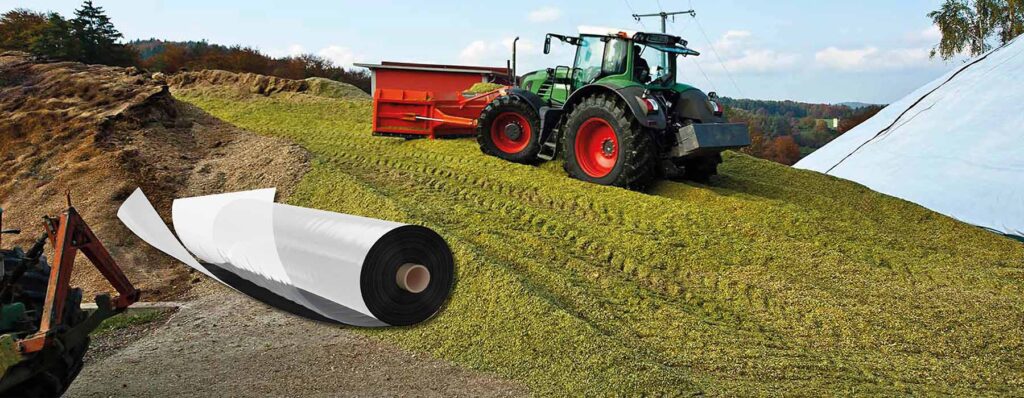 Aumamuovi etualalla ja traktori tiivistämässä aumaa taustalla.