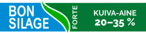 Bonsilgae Forte logo.
